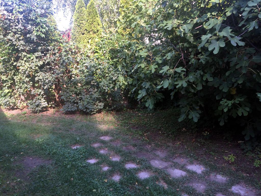Rosmarinus Apartman Πετς Εξωτερικό φωτογραφία